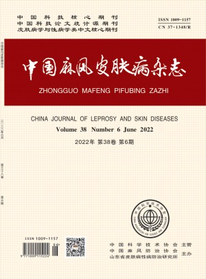 中国麻风杂志 